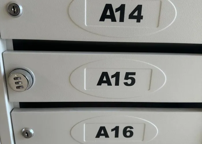 патилови סנדנסקי